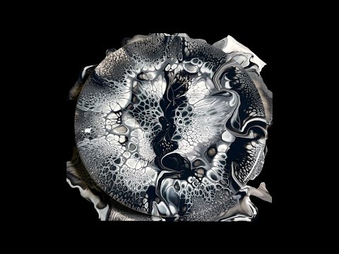 #168 Shadow Blooms! Back to basics with black and white! 🖤🤍