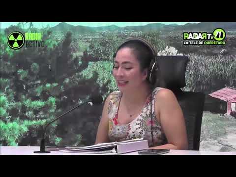 Entrevista - El Faro de los Cisnes