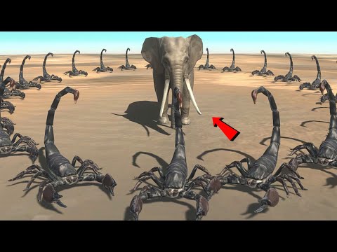 Emperor Scorpion vs Every Unit | Animal Revolt Battle Simulator