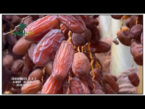 التمر المبروم | تمر فاخر من المدينة المنورة لعشاق الذوق الرفيع 
