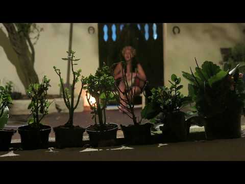 Ô! Juremê, Ô Jurema!