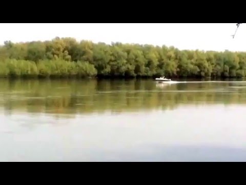 Cu șalupa pe Dunăre,la Baltenii de Sus