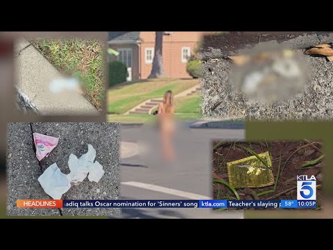 Larchmont residents complain of rampant prostitution