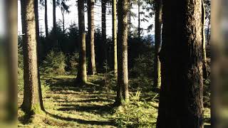 Moby A Dark Cloud Is Coming West Side Highway Remix