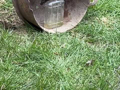 ASG M40A3 sniper rifle vs a glas