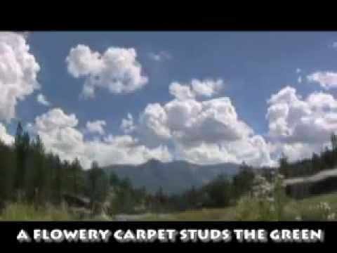 Eileen Di Tullio - _Here Beauty Dwells_