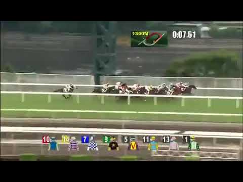 Pakistani Horse Won The Hong Kong Classic Cup 2019 Race 💙 Horse#4