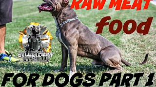 The raw on a raw diet bulletproof way muscle building raw meat dog puppy pitbull