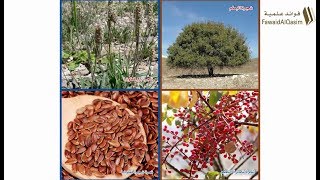 صورة فوائد متنوعة | للشيخ د. عبد المحسن القاسم