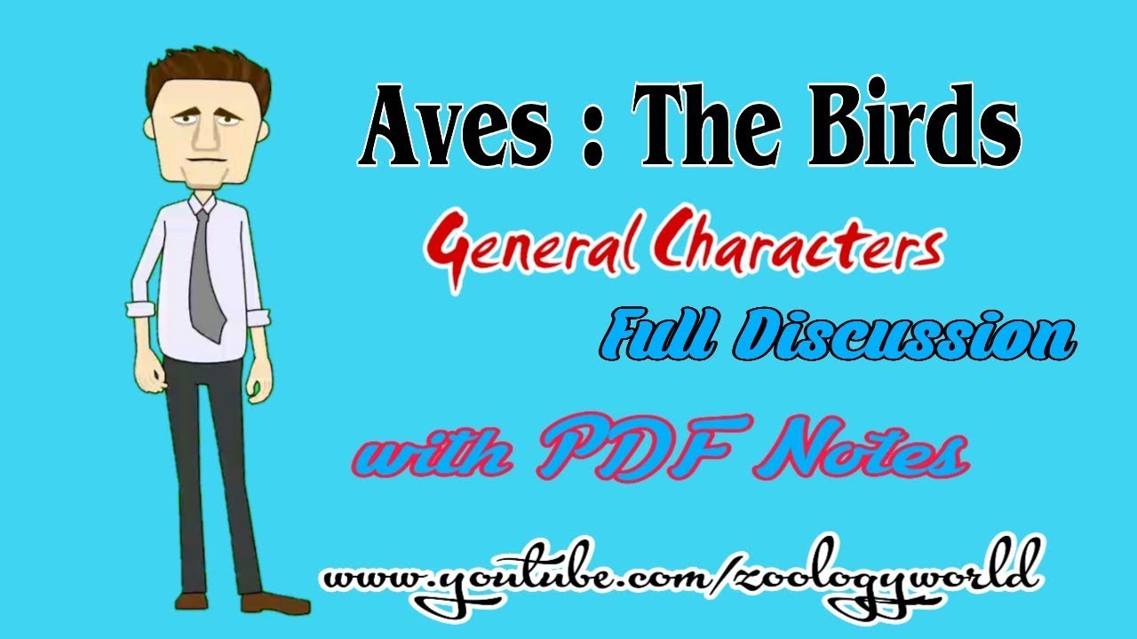 Aves :The bird |Full Notes| |General Characters| |PDF|