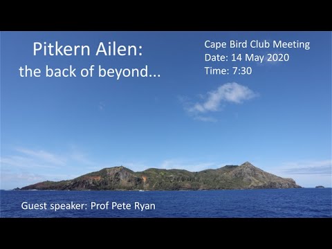 Cape Bird Club Meeting - Pitkern Ailen: the back of beyond