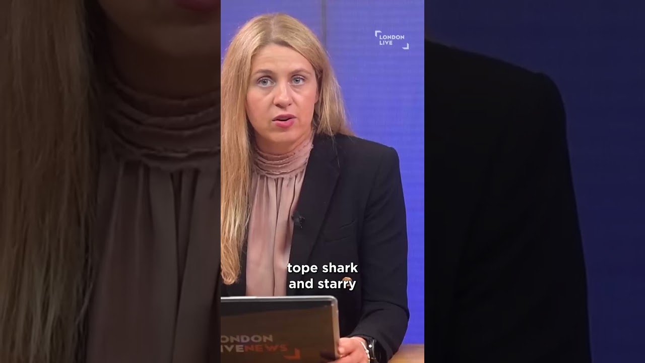 Has a shark been spotted in the Thames?