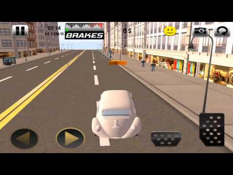 Wedding Limousine driver 3D Video