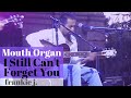 Roy Rogers & Norton Buffalo - I Still Can't Forget You || Frankie J.Finger