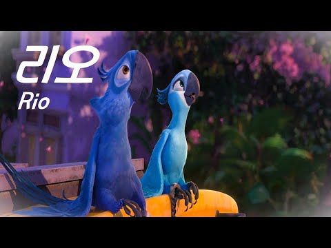 🤭세상에 단 한마리 남은 짝을 만나러 브라질로 떠난 🐦 멸종 위기의 앵무새! 🎉눈과 귀가 즐거운 디즈니 애니메이션  *결말 포함