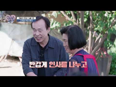 [기적의운동화 시즌2] 뼈끼리 부딪혀 통증이 심했던 조희수님의 무릎 관절염