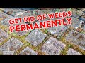 8 Tips Against Weeds In Driveways And Sidewalks How To Get Rid Of Weeds Permanently