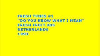 Fresh Tunes #1 - Do You Know What I Mean (1993)