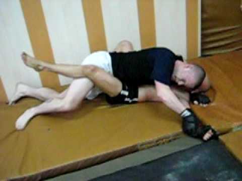 Tiger vs Guzik (part 1)