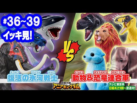 アニメ『冒険大陸 アニアキングダム』 36～39話まとめ動画☆見逃し配信☆動物と恐竜が暮らす不思議な大陸☆冒険バトル☆