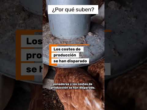 ¿Por qué los huevos cuestan más?