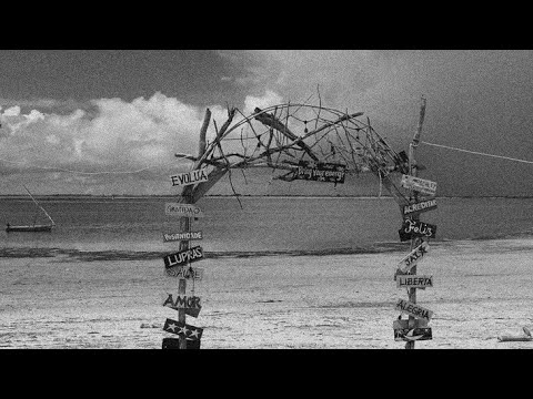 Edmar Tchico - Aurora ( Official lirics video)