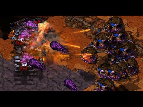 SKY ZERG WEIRDFUN ON TROY - Killer! ???????? (Z) v Light! ???????? (T) - StarCraft  - Brood War 2024