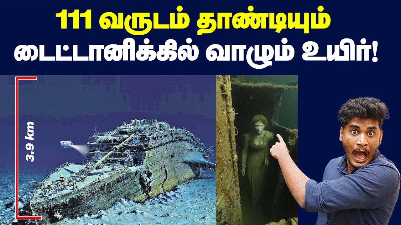 😱😳Titanic கப்பலுக்குள் விசித்திரமாக evolve ஆகி இருக்கும் உ?