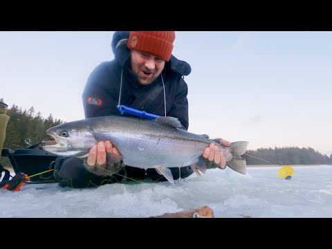 Vild regnbue fanget under isfiskeri på Østersøen