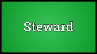 Download lagu Steward Meaning mp3