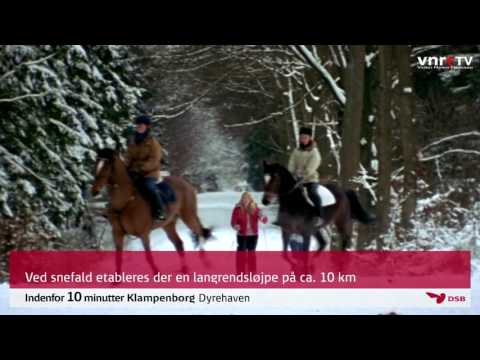 Indenfor 10 Minutter - Klampenborg - Dyrehaven - Bellevue Strandbad