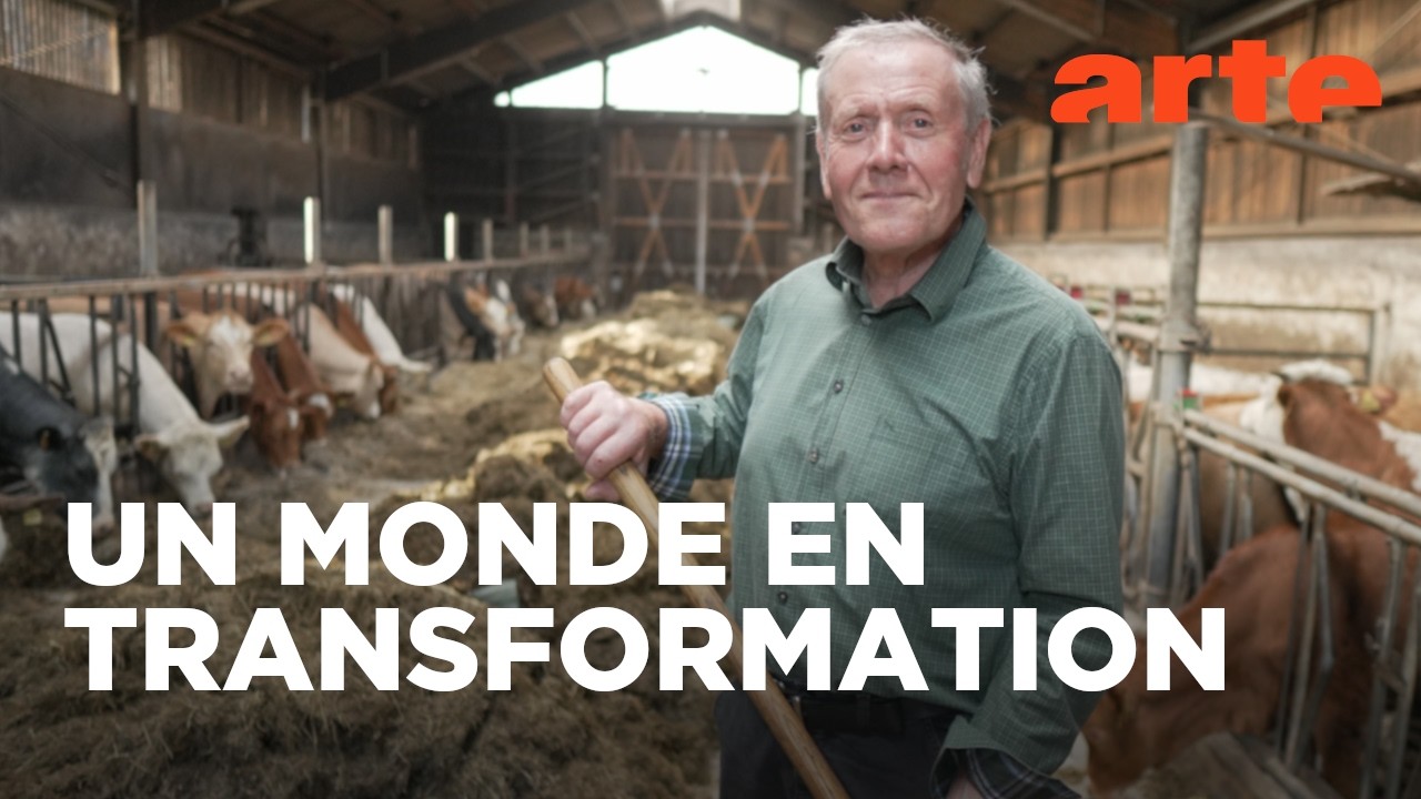 Collectivisation et remembrement | Une histoire de l’agriculture | ARTE