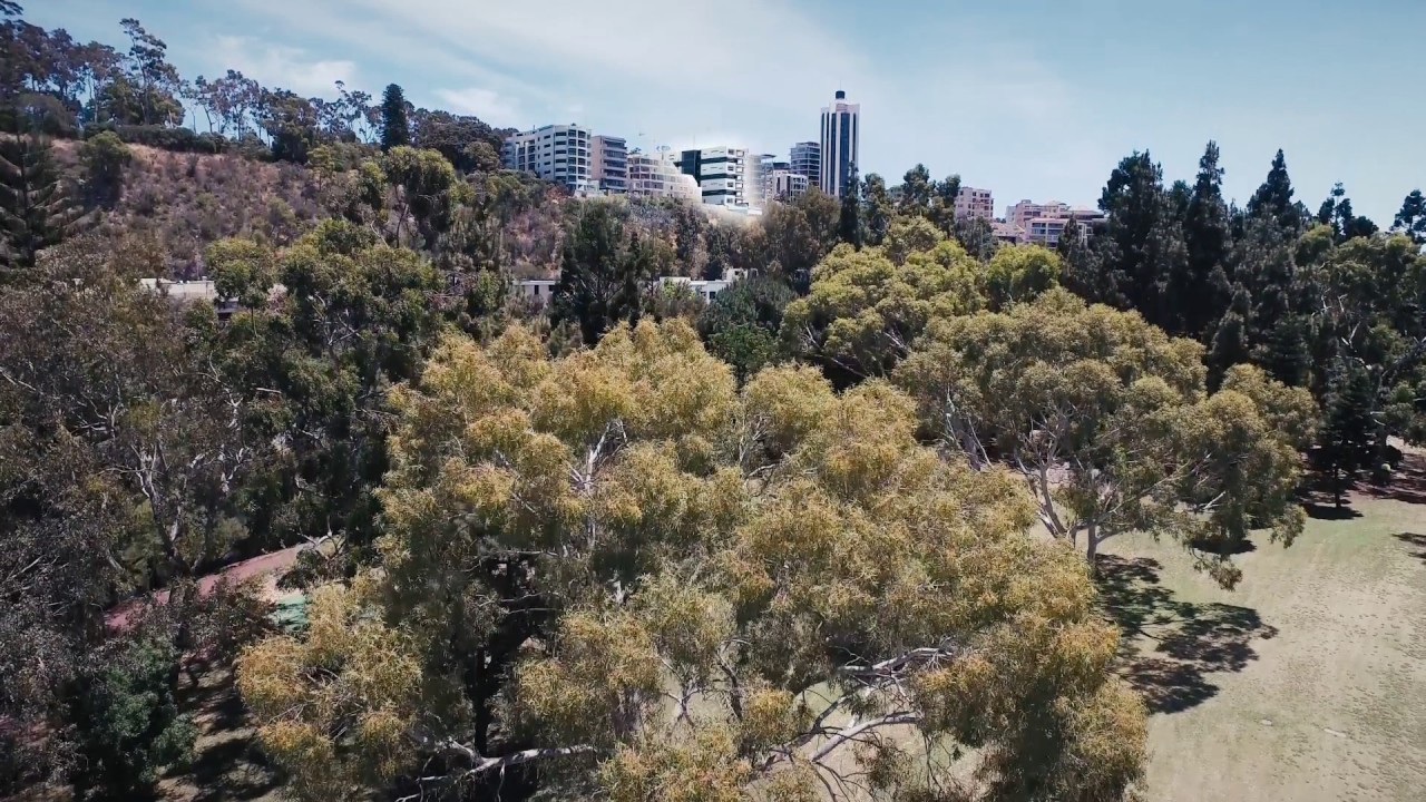 Constructive Media - Showcase 2017