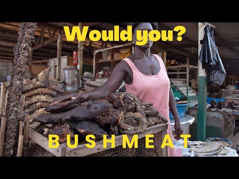 Extreme Bushmeat!!! Nigeria's Wild Animals Restaurant