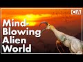 The Incredible Planet Of Snaiad Part I