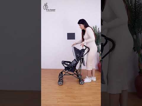 R for Rabbit Pixie The Cute Little Buggy for Kids