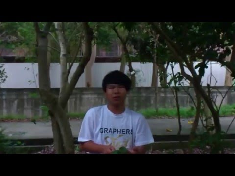 枯里珍果實可以吃嗎