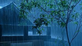 (No Ads) Thunderstorm Sleep Sounds on Roof  | Instant Relaxation & Deep Rest
