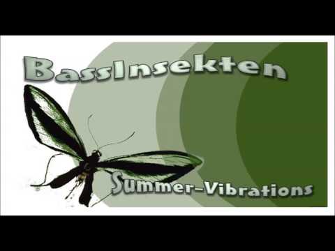 BassInsekten    Summer Vibrations    miX
