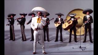 Al Final Del Camino 💙 Vicente Fernández