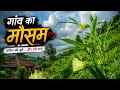 Beautiful Rainy Day ️ Monsoon Nature View 4K Relaxing Rain Scenery Harish Love1