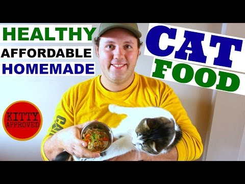 Quick & Easy, Healthy, Affordable CAT FOOD