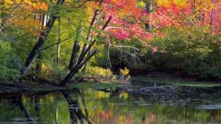 Lisa Mitchell - Alice