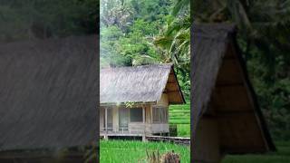 Download lagu Suling Sunda merdu #lagusunda #lagusundaviral #popsunda #sulingsunda mp3