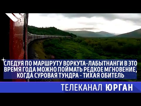 Следуя по маршруту Воркута-Лабытнанги можно поймать мгновение, когда суровая тундра – тихая обитель.
