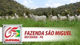 preview picture of video 'Matsuda Fós 15 S e Fós 80 S (Rio Maria - PA)'