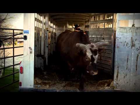 Justin McBride and J.W. Hart breakdown Bushwacker's impact on the sport (PBR)