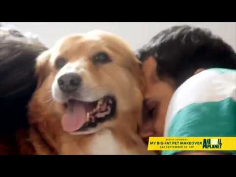 My Big Fat Pet Makeover_Short 3