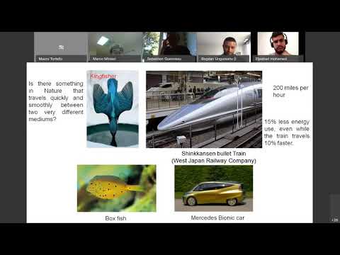 MetaMAT's 2nd webinar   16 06 2020 - Bio-inspired hierarchical metamaterials - Marco Miniaci