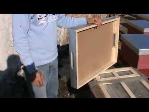 4. Video Apicultura - Teorie si practica despre avantajele iernatului 3 in 1 la Bio Stup vatra 4/4